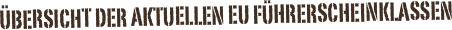 Übersicht der aktuellen EU Führerscheinklassen